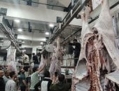 التشغيل التجريبى لمجزر الزقازيق العام بتكلفة 38 مليون جنيه