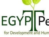 مؤسسة مصر السلام: تعديل قانون الأسرة قضية حقوقية وتنموية متكاملة