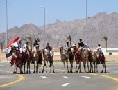 محافظ جنوب سيناء: سباقات الهجن من أبرز مظاهر التراث البدوي الأصيل.. صور