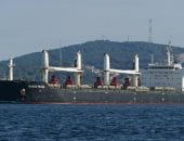 تداول 64 ألف طن و750 شاحنة بضائع عامة ومتنوعة بموانئ البحر الأحمر