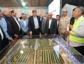 سيناء في قلب التنمية.. وزير الزراعة يكشف حصاد النهضة الزراعية بأرض الفيروز