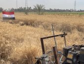 وسط المزارعين.. محافظ قنا يشهد حصاد القمح بقرية دندرة