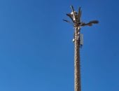 تنفيذ مشروع موسع لتطوير خدمات الإنترنت داخل المنشآت الفندقية بمدينة شرم الشيخ