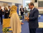 الرئيس السيسى يطالب بالتنفيذ غير الانتقائى لمنع الانتشار النووى بالمنطقة.. صور