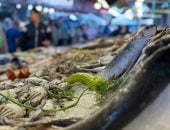 انتشار لـ الوجبات البحرية عالية القيمة الغذائية في سوق أسماك بورسعيد.. فيديو وصور