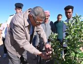 محافظ جنوب سيناء يتفقد تجمعات وادي سعال المتأثرة بالسيول 