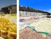 ضبط 940 طن أسمدة مغشوشة داخل مصنع "بير سلم" غرب النوبارية
