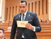 وكيل اتصالات النواب: لقاء الرئيس السيسى مع نظيره الإماراتى يؤكد وحدة الموقف العربى