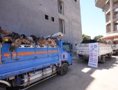 4 ملايين جنيه لدعم مشروع البيوجاز بأسيوط وتسليم 28 رأس ماشية