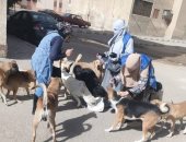 «تعقيم وإعادة إطلاق».. خطة القليوبية للتعامل مع الكلاب الضالة.. تطعيم 2207 كلاب منذ يناير.. إنشاء أول «شلتر» متخصص في العبور يطبق منهجية علمية.. الهدف تحقيق التوازن البيئي والحد من المخاطر الصحية.. صور