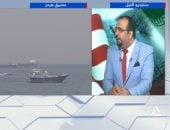 أحمد التايب للتليفزيون المصرى: جنوب لبنان يتعرض لمخطط إسرائيلى - إمريكى (فيديو)