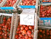 الطماطم بـ 22,5 جنيه.. أسعار الخضراوات والفاكهة بالوادى الجديد اليوم السبت
