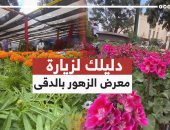 دليلك لزيارة معرض الزهور بالدقي.. هتدخل 8 متاحف بـ20 جنيه بس.. فيديو