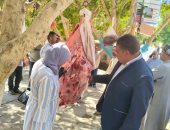 تموين الوادي الجديد: تحرير 61 محضرا ومخالفة ضمن 17 حملة تفتيش على مدار أسبوع