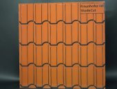 الألواح الشمسية تدخل عالم التصميم.. ثورة جمالية فى الطاقة النظيفة