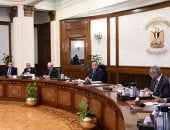 مدبولى يوجه بسرعة إنهاء إجراءات انقسام شركة المحلة للطرح أمام القطاع الخاص