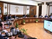 رئيس الوزراء يوجه بإعلان مبادرة تحفيزية للمصانع والمنازل للتحول إلى الطاقة الشمسية