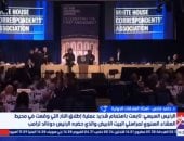 خبير: الدبلوماسية المصرية تتبنى رؤية لنبذ العنف والبحث عن حلول سياسية