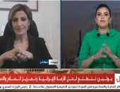 وزيرة البيئة اللبنانية: رش الاحتلال مبيد الجليفوسات على الحدود جريمة دولية 