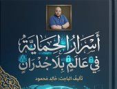 "أسرار الحماية" لـ خالد محمود يكشف خبايا الأمن السيبراني