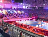 الإسكندرية تستضيف بطولة الأمم الأفريقية للمصارعة