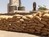 موسم الخير.. أطنان القمح تتدفق على شون وصوامع أسوان «فيديو»