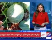 هل توجد مشكلة فى البطيخ المتواجد فى السوق؟.. متحدث الزراعة يجيب فيديو