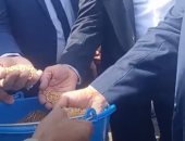 محافظ كفر الشيخ يتفقد توريد الأقماح بالصوامع.. فيديو
