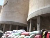 محافظ سوهاج: توريد 46 ألف و590 طنا من القمح إلى الشون والصوامع