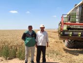 زراعة الإسماعيلية: انطلاق حصاد القمح ومتابعة يومية لانتظام التوريد