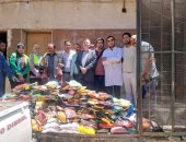 ضبط 410 كجم لحوم ودواجن غير صالحة للاستهلاك الآدمى فى سوهاج