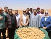 محافظ الوادى الجديد تشهد حصاد مشروعات الاستثمار الزارعى بمركز بلاط