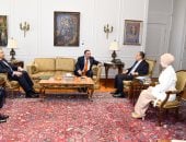 وزير الخارجية يلتقى رئيس لجنة الشئون العربية بمجلس النواب