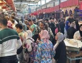 إقبال كبير على سوق الأسماك بمحافظة بورسعيد.. فيديو