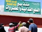 سمك في الصحراء.. القصة الكاملة لنجاح مشروعات الاستزراع السمكي فى مركز بلاط بالوادي الجديد.. تغطية احتياجات السوق المحلى من أسماك البورى والبلطى والمبروكة.. وطرح المنتجات فى المنافذ الحكومية بأسعار مخفضة.. صور