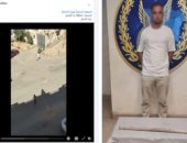 ضربة شمس وعصا خشبية.. كواليس مقتل كلب التجمع وصدمة المارة