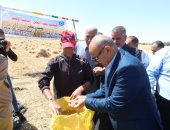 محافظ السويس يشهد احتفالية حصاد القمح.. ويؤكد: دعم كامل للمزارعين