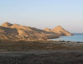 بداية موسم التعشيش.. الزبرجد والجفتون أهم جزيرتين للسلاحف بالبحر الأحمر.. الخضراء منها تقصد الأولى.. وصقرية المنقار تضع بيضها بالثانية.. تبدأ عملية وضع البيض من مايو حتى سبتمبر.. والمحميات ترصد المئات.. صور