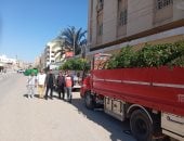 وصول دفعة جديدة من الأشجار إلى الفيوم ضمن مبادرة "100 مليون شجرة"