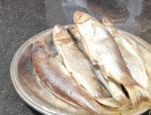 سوق الفسيخ فى طنطا قلعة بيع الأسماك المملحة بمحيط السيد البدوى.. مقصد أهالى مراكز الغربية.. أصحاب المحال: توارثنا المهنة أبا عن جد ولم نعرف غيرها.. ويؤكدون: ضرورة التأكد من تواريخ الإنتاج خاصة فى الصيف.. صور