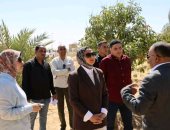 محافظ الوادى الجديد تتفقد أحد مشروعات الاستثمار الزراعى المتكاملة بالخارجة