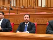 النائب رمضان بطيئة: علاقات مصر والإمارات نموذج فريد للتحالف الاستراتيجى