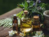 طرق طبيعية لطرد الناموس والذباب من المنزل.. آمنة على صحة أسرتك