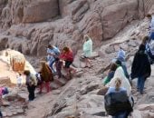 315 سائحا من مختلف الجنسيات لزيارة دير سانت كاترين وجبل موسى