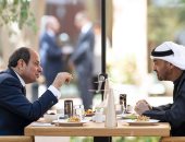 يداً بيد.. مصر والإمارات علاقات المصير المشترك.. محللون إماراتيون لليوم السابع: زيارة الرئيس رسالة رادعة للأعداء.. أخرست الخبثاء المشككين.. تأكيد دور مصر ودعمها الكامل في توقيت حاسم.. ومصر عمق استراتيجي لدولتنا