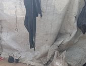 صراع الحياة فى غزة.. حكمت أبو غنيم تحارب الجوع والمرض وتتمسك بخيط أمل لا ينقطع