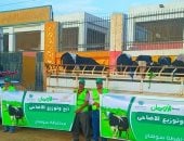 خلال عيد الأضحى.. توزيع 50 ألف كيلو لحوم و50 عجلا على الأسر الأولى بالرعاية بسوهاج