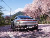 تسريب لعبة Forza Horizon 6 على منصة Steam قبل أيام من إطلاقها