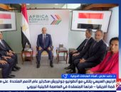 أستاذ علاقات دولية: مصر تتبنى رؤية استراتيجية لدعم الأمن والتنمية فى أفريقيا