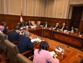 خارجية الشيوخ تستعرض رؤية مصر تجاه إفريقيا: الحلول أساس مواجهة الأزمات
